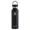 HYDRO FLASK 21 oz. Standard-Mouth Water Bottle