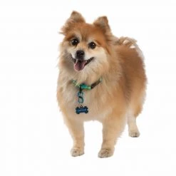 NITE IZE S-Biner® TagLock™ Aluminum,- 2-Pack -Deals Boat Cabin & Galley Store 19273606 4 1500.26102018113331