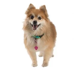 NITE IZE S-Biner® TagLock™ Aluminum, 2-Pack -Deals Boat Cabin & Galley Store 19273614 4 1500.26102018113346