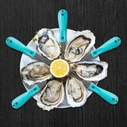 TOADFISH Put 'em back Oyster Shucker 7 TOADFISH Put 'em back Oyster Shucker -Deals Boat Cabin & Galley Store 20267647 3 1500.19042021103016